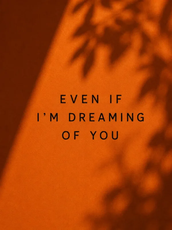 Orange typographic graphic reading even if I'm dreaming of you with leaf shadows