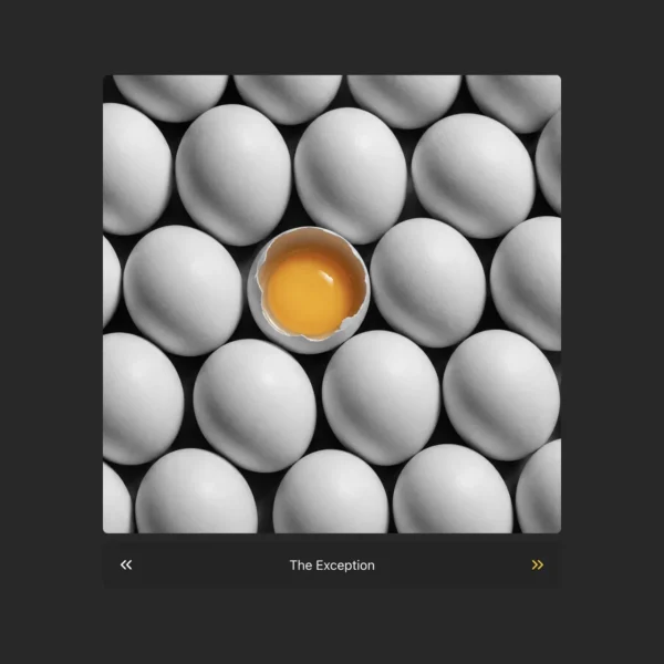 A large stage with looped arrow navigation and a slide counter - a clean image viewer for sequential sets.